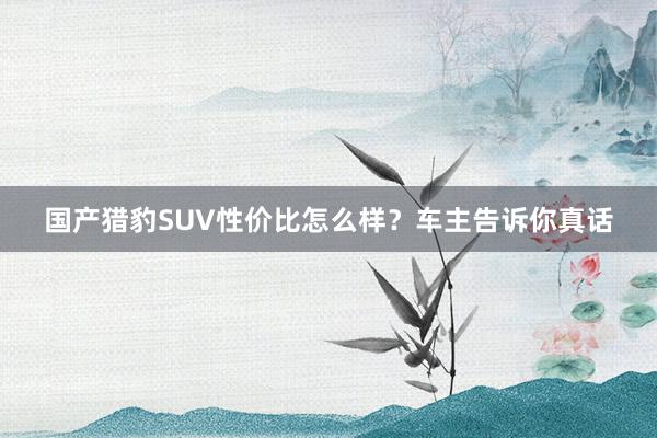 国产猎豹SUV性价比怎么样？车主告诉你真话