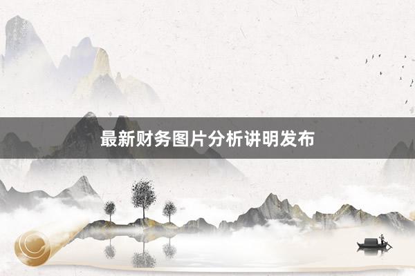 最新财务图片分析讲明发布