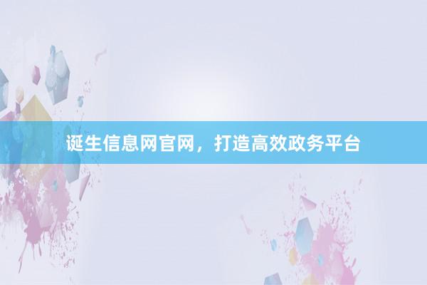 诞生信息网官网，打造高效政务平台